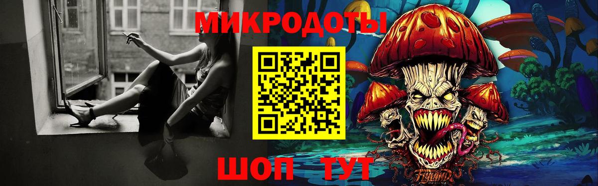 Псилоцибиновые грибы Psilocybine cubensis Каменск-Шахтинский