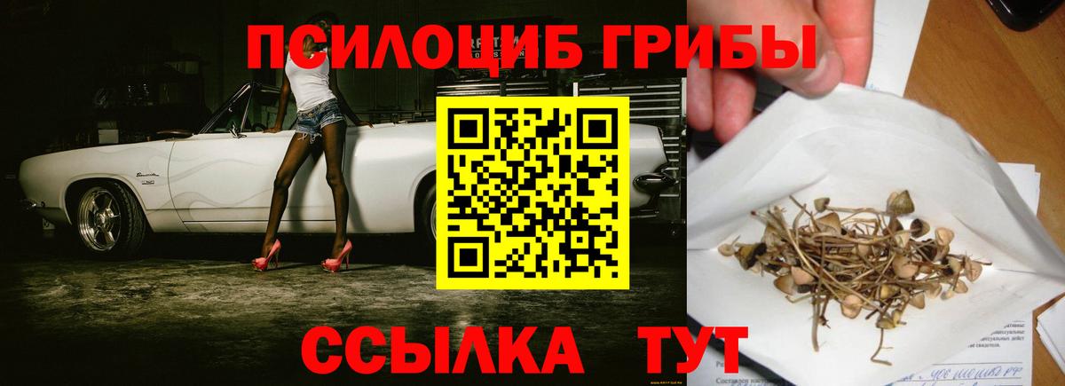 где купить наркоту  Псилоцибиновые грибы мухоморы  Псилоцибиновые грибы Magic Shrooms  Вход с VPN  Каменск-Шахтинский 